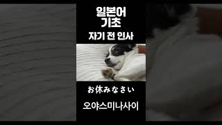 일본어 기초 회화 인사 잘자요 #shorts