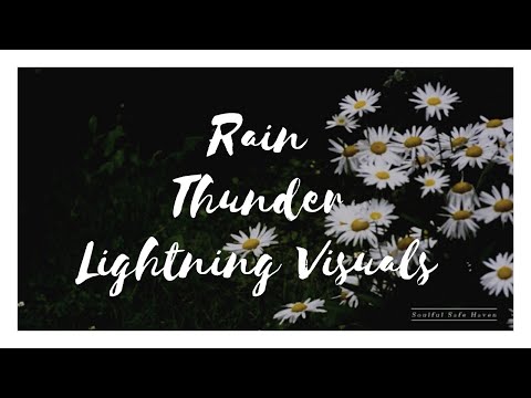 Soothing Rain and Thunder + Sounds for Relaxation