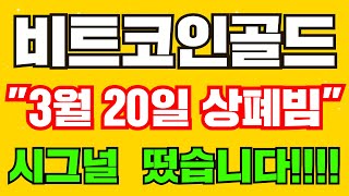 [비트코인골드] "3월 20일 상폐빔" 폭등 시그널 떴습니다!!! #비트코인골드 #비트코인골드코인전망