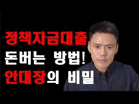 정책자금대출로 돈 버는 방법(feat, 안대장의 비밀)