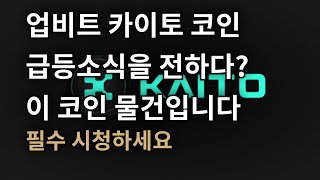[ 카이토 ] 카이토코인 이 코인 물건입니다