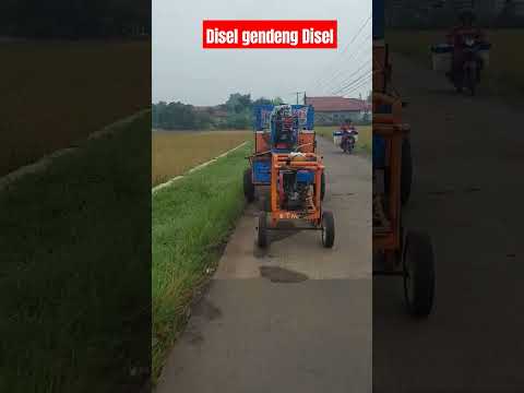 traktor dikejar disel