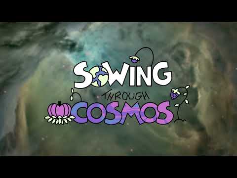 Sowing Through Cosmos // OST Composing Jam 3