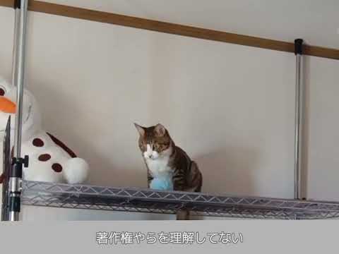 キャッチボールができる唐揚げくん
