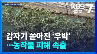 [여기는 충주] 갑자기 쏟아진 ‘우박’…농작물 피해 속출 / KBS  2025.05.29.