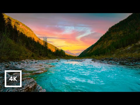 4K Sunset River Evening Ambience with Birdsong | Relaxing Nature Sounds for Sleep and Meditation