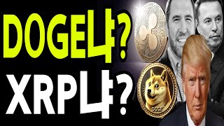 비트코인 도지코인 리플코인  DOGE냐  XRP냐 ? 🔥