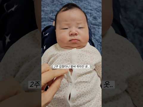 왕물만두가 되어가는중