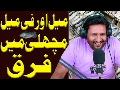 Rana Ijaz New Funny Video | Rana Ijaz New Prank Call | Standup Comedy By Rana Ijaz | #ranaijazurdu