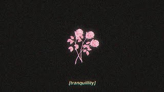tranquillity - lofi hip hop beat (FREE FOR PROFIT USE)