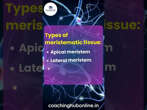 What is Meristematic tissue? #coachinghub #education #tissue