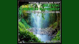 Natural Sounds for Sleep: Relaxing Tropical Rainforest