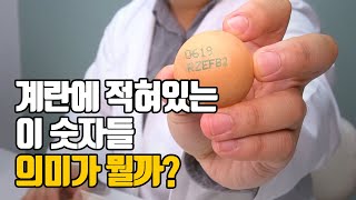 당장 냉장고에 있는 달걀 끝번호를 확인해보세요! feat. 이마트 계란 언박싱