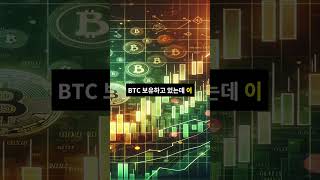 메타플래닛, 25억 달러로 비트코인 대규모 쇼핑?!