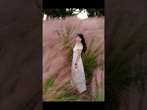 Photoshoot Backdrop of My Dreams! 😍Pink Muhly Grass in Full Bloom. 💓 #potraitphotography #ytshorts