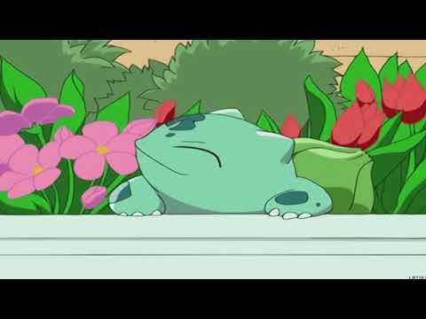 Wildflowers (Future Funk - Chillhop - Electronic Mix)
