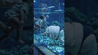 Love this aquarium 🤣🤣#ai #facelessyoutubechannelideas  #alartcommunity #aiart #ytshorts