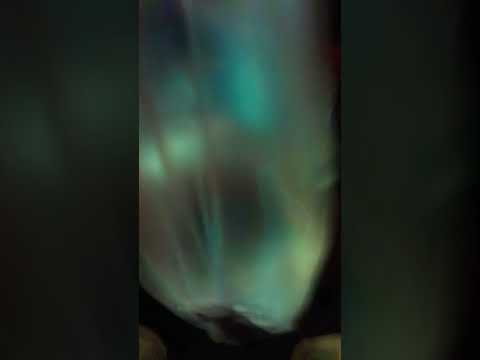 i got a pet fish!!!
