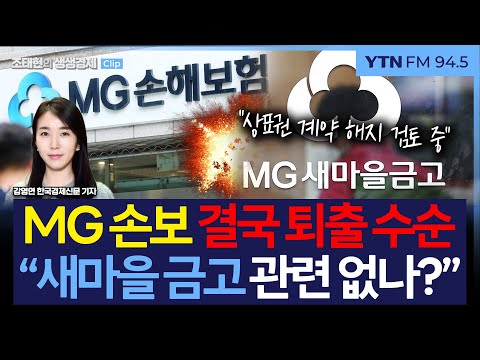 [생생경제] MG손보 영업 정지, 새마을금고는 관련 없나? "상표권 계약 해지 검토"_250515