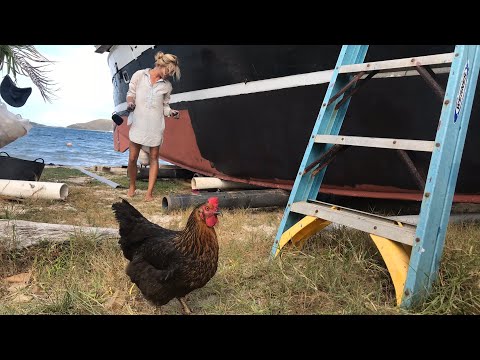 BACK TO THE BVI - Sailing with the Odyssey Festival