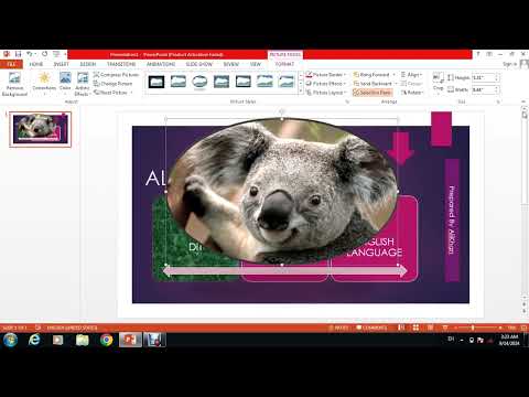 Power point lecture 3 for begainer
