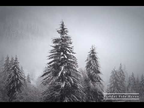 Snowstorm + Heavy Wind + Forest View