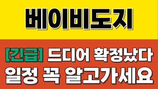 [베이비도지 코인] 긴급 드디어 확정났다!! 일정 꼭 알고가세요