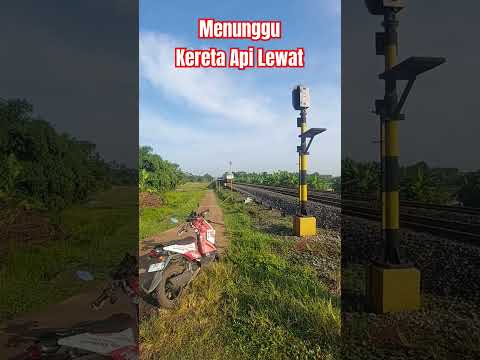 Menunggu kereta api lewat