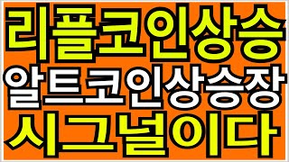 비트코인 비트코인시세 리플코인 상승은 알트코인불장 시그널이다!!