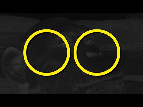 Project: ◯ ◯ - King Kong Balls