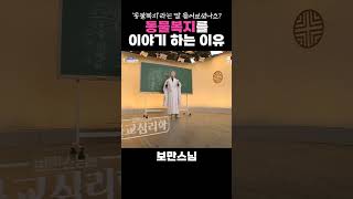 우리가 동물복지를 이야기 하는 이유 #보만스님