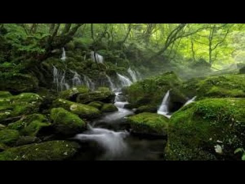 Relaxing music for sleep, meditation and stress management