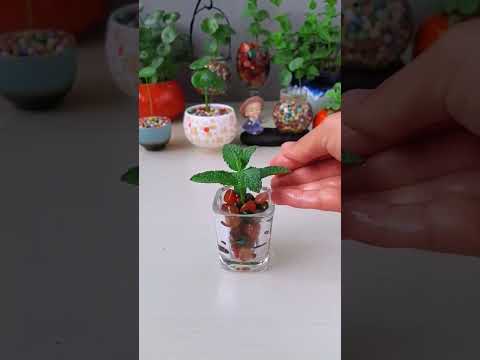 How to grow 🌵😅 mints plants at home indoor plants #shorts#short#aashortaday #indoorplants #water