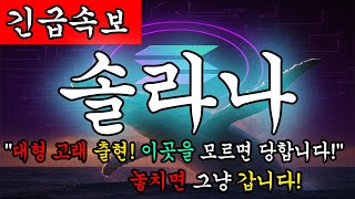 [솔라나 전망] "솔라나! 고래들의 시나리오를 모르면 끝납니다! 놓치기 전에 주목하세요!"