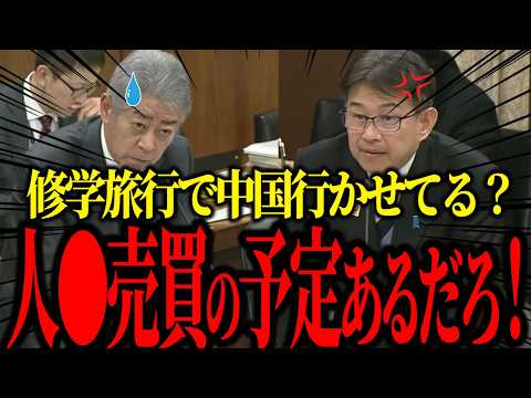【岩屋更迭】日本の修学旅行生が中国で大変な目にあってます。【国会/自民党/西田議員/岩屋外務大臣/石破茂/政治/切り抜き】