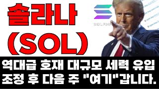 [솔라나] SOL 역대급 호재에 대규모 세력 유입)) 다음 주 가격은 "여기"