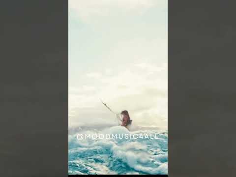 ⛵ Graceful Sailing + Lo-Fi Vibes in 30s