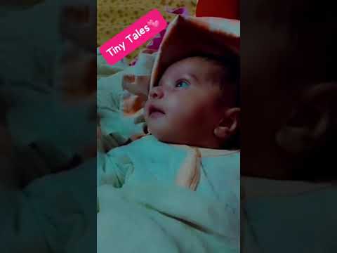 Cutie 🥰#youtubeshorts #trending #ytshorts #ytviral #shorts #viralvideo #viralshort #shortsfeed