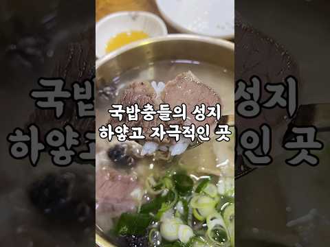 국밥 주제에 왜 이렇게 맛있어? 지금 가기 딱 좋은 맛집 #맛집 #서울