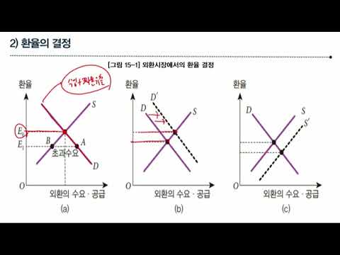 뉴더코어 | 환율은 어떻게 결정될까? 금융·외환시장 & 변동환율 완전 정복