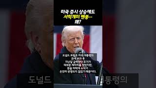 미국 증시 상승에도 서학개미 멘붕... 왜? (20250521)