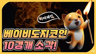 베이비 도지 코인 10경개 소각!!(이더체인) 【베이비도지코인 알아보기】
