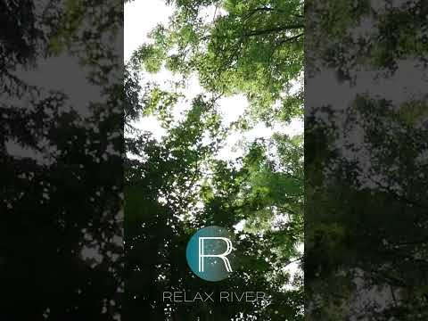 🚶‍♀️‍➡️...a #short walk in the morning to enjoy new year's sounds of #nature