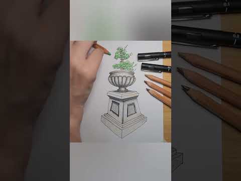 I Drew An Outdoor Potted Plant #art #botany #plants #drawing #pottery #drawingstyles #outdoors