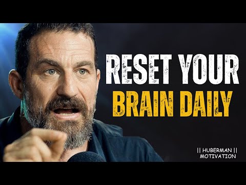 From Stuck to Sharp: Reset Your Brain with Daily Tools | Andrew Huberman #brainhealth