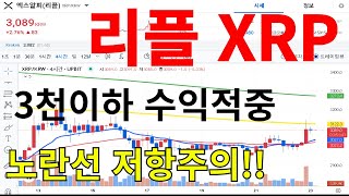 리플 XRP 미결제약정 대폭증가 수익적중 코인베이스 선물출시!! 솔라나 이더리움 스택스 룸네트워크