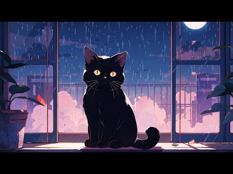 Quiet Rainy Night 🌧️ Lofi cat mix [Coffee time / for Study / Focus / Relax]