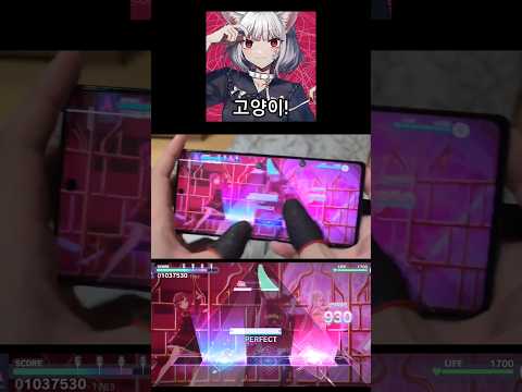 Cat Loving MASTER (30) ALL PERFECT Thumb Play