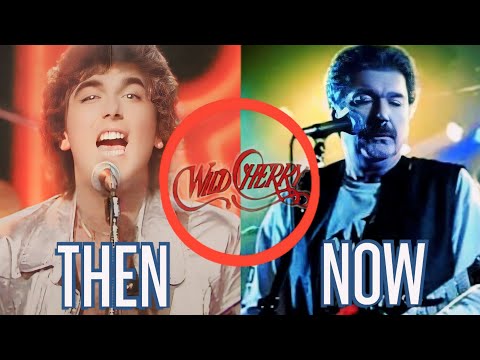 Wild Cherry Then and Now (48 years later) Who has changed known for 🎵Plat That Funky Music🎵