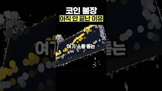 비트코인 더 오를 수 밖에 없는 이유